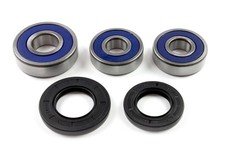 Radlager Satz 25-1358 hinten