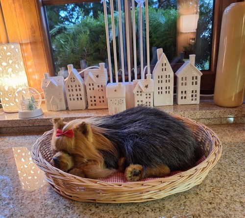 Stofftier yorkire terrier - stofftier,