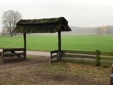 Reetdach - als Hof- bzw. Toreinfahrt oder individuell als Überdach