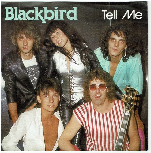 Single blackbird tell - ,