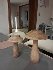 Holzpilze 2 Stück Vollholz