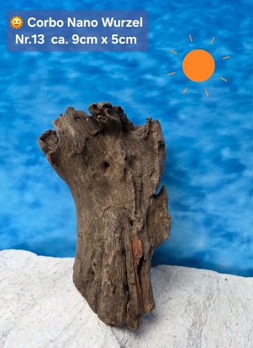 Corbo root nano - ‼️corbo, nano⭐️