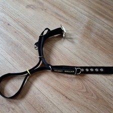 Canny Collar Halsband zum Training für Leinenführigkeit Gr 3 Halsband mit Halti