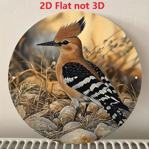 Blechschild rund wiedehopf - blechschild,