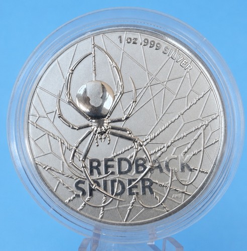 Australien redback spider 2020 - redback,