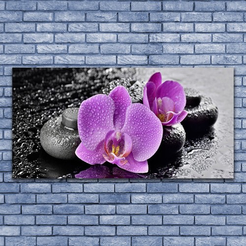 Acrylglasbilder wandbilder aus - wandbilder,