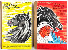 ⭐  2x Blitz - Walter Farley - Pferdebuch Klassiker Sammlung Bücherpaket vintage