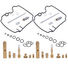 Vergaser Reparatur Satz 2