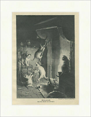 Walpurgisnacht reichert - walpurgisnacht.,