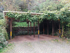 Doppelcarport aus Holz