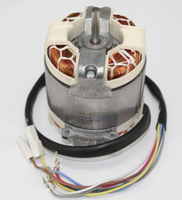 Bauknecht Motor