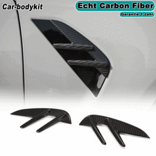 Dry Carbon Kotflügel