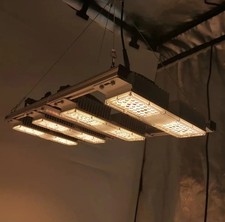 Pflanzen Wachstum LED Grow