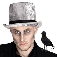 Halloween Rabe mit Gefieder