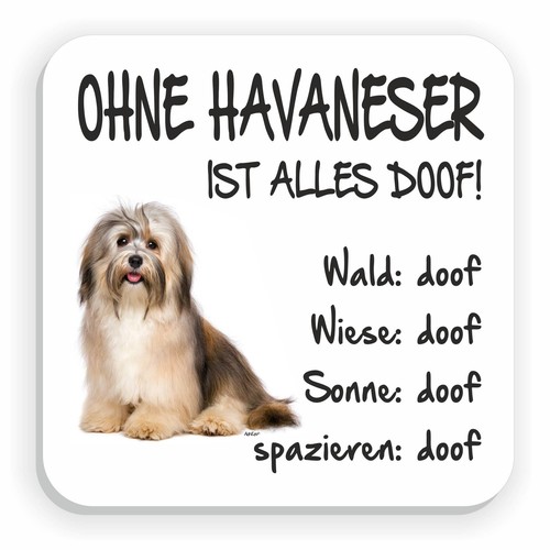 Kühlschrankmagnet ohne - kühlschrankmagnet, "ohne