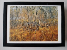 Larry Norton graue Geister - größerer Kudu'-Druck GERAHMT