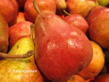 Birnbaum 'Gute Luise' - winterharte Pflanze 150-170cm - große Früchte Birnenbaum