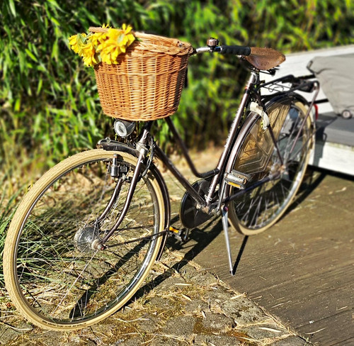 Vintage gazelle hollandrad - gazelle,