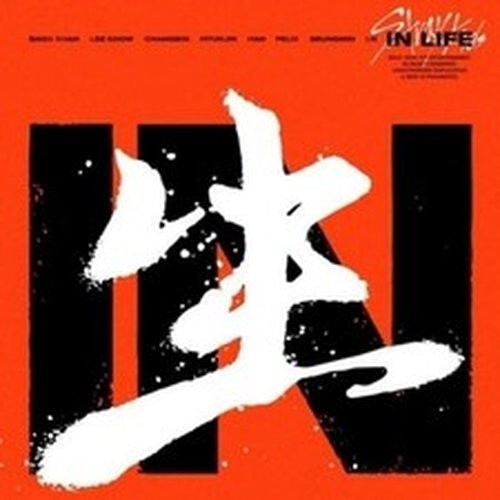 Stray kids life - stray,