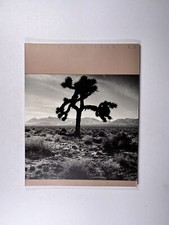 U2 The Joshua Tree Programm