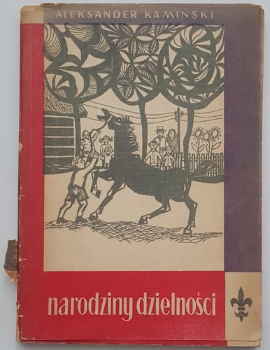 Polish book narodziny - polish,