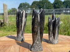 Fossilien-Skulptur aus