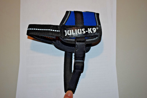 Julius baby - julius-k9, 1