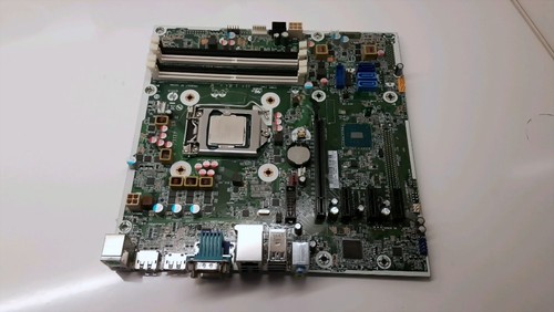 795971 001 mainboard sockel - mainboard,