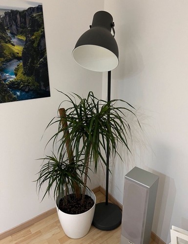 Stehlampe dunkelgrau ikea - stehlampe,