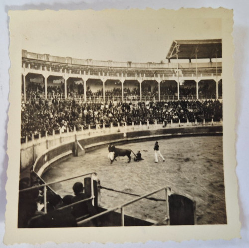 G0055 kleines cdv foto - ,