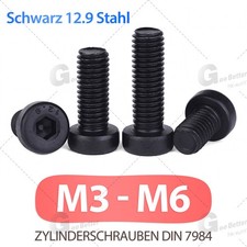 M3-M6 Niedrig Kopf