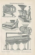 Getreide Roggen Weizen Hafer Gerste 4 Originale Tafeln 1902 BBB 16x24 cm+Text M6