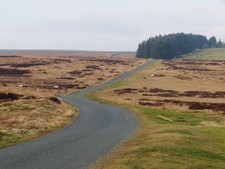 Foto A3 Moorstraße Richtung Langes Grünes Tor Eine abgelegene Ecke Nordens c2022