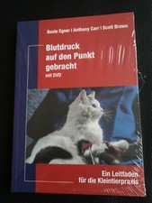 Blutdruck auf den Punkt