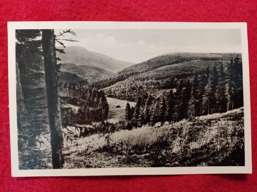 Arnsgereuth 1950 liebestal - arnsgereuth,