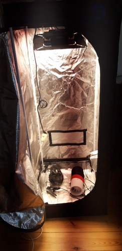 Growbox diamond box - growbox,