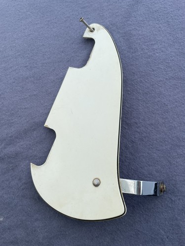 Egmond lion guitar pickguard - lion,