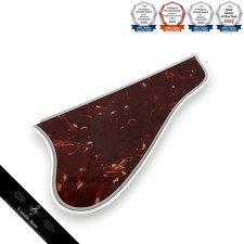 Gibson L5 Super 400 Schildpatt