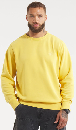 Pit bull sweatshirt - pit,