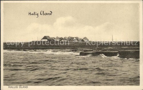 Hallig oland - hallig,