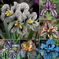 ca. 100 Stück/Packung