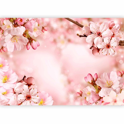 Milchstraße kirschblüte - ,