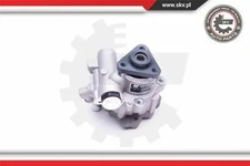 Servolenkungspumpe 10SKV248