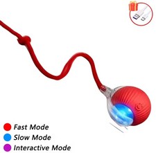 Interaktives Hundespielzeug/Katzenspielzeug Elektrischer Ball USB Aufladbar