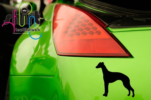 537 whippet hund - ,