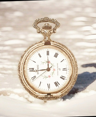 Antike taschenuhr - antike,