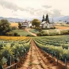 Wandbild: Weinberge in der