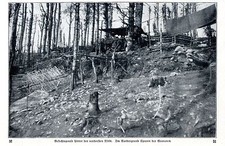 Hartmannsweilerkopf (