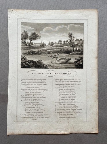 Fische und kormorane fables - fische,