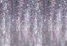 XXL Fototapete "hängende Blumen" Vlies 416 x 254 cm Fotoprint Tapete Wandbild